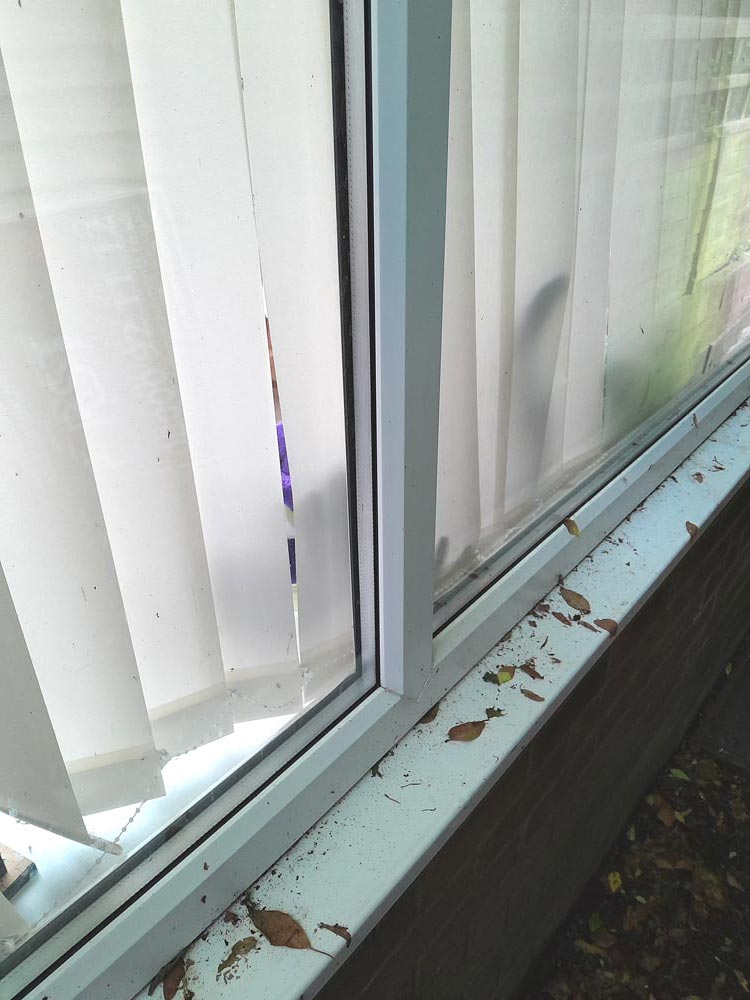 Window-cleaning-in-roughton-norfolk,-case-study